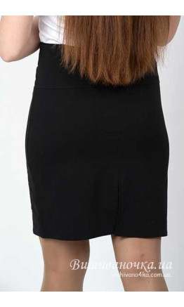 Skirt women's with embroidery 0095