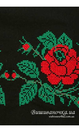Women's skirt with embroidery 0096