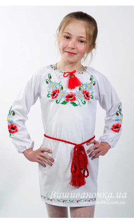 Children's dress with embroidery 0170