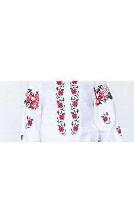 Women's vyshyvanka, linen БЛ149