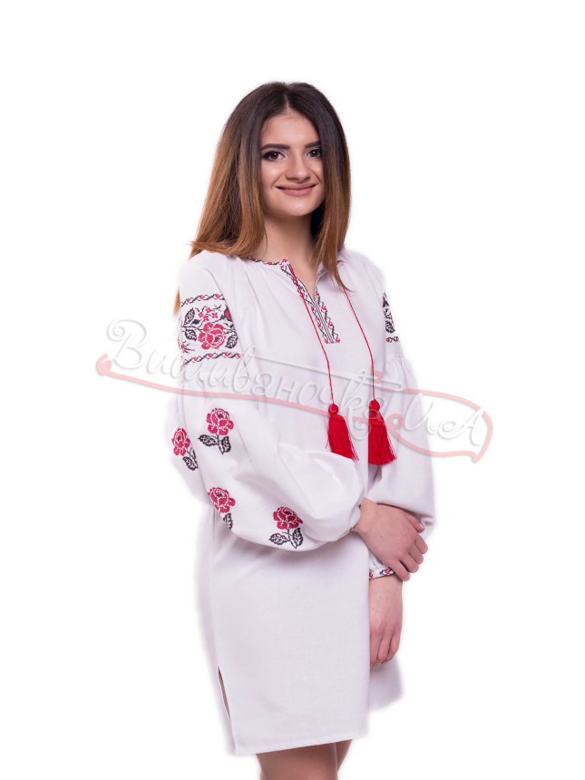 Women's dress with embroidery SL13