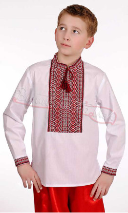 Children's vyshyvanka for a boy 0113