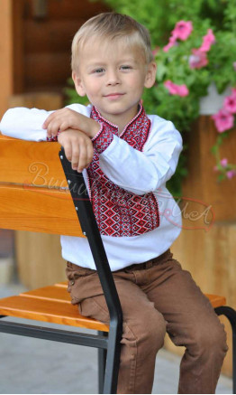 Children's vyshyvanka for a boy 0113