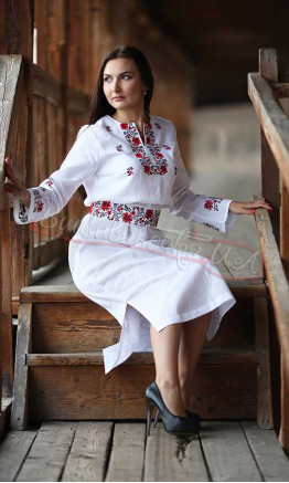 Вишита жіноча сукня 7081