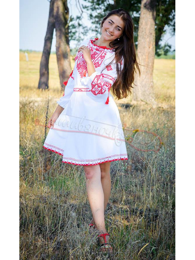Matching set with red a vyshyvanka 7311