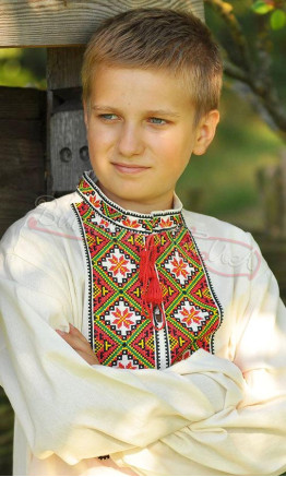 Beautiful men's vyshyvanka in cotton 3816