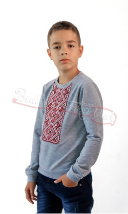 Stylish embroidered cardigan for a boy 6408 colour Grey size 110