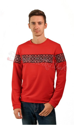 Bright men's cardigan with embroidery 6209