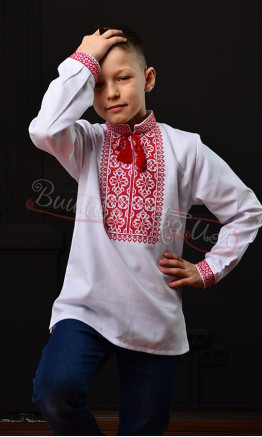 Bright vyshyvanka for a boy 744-2