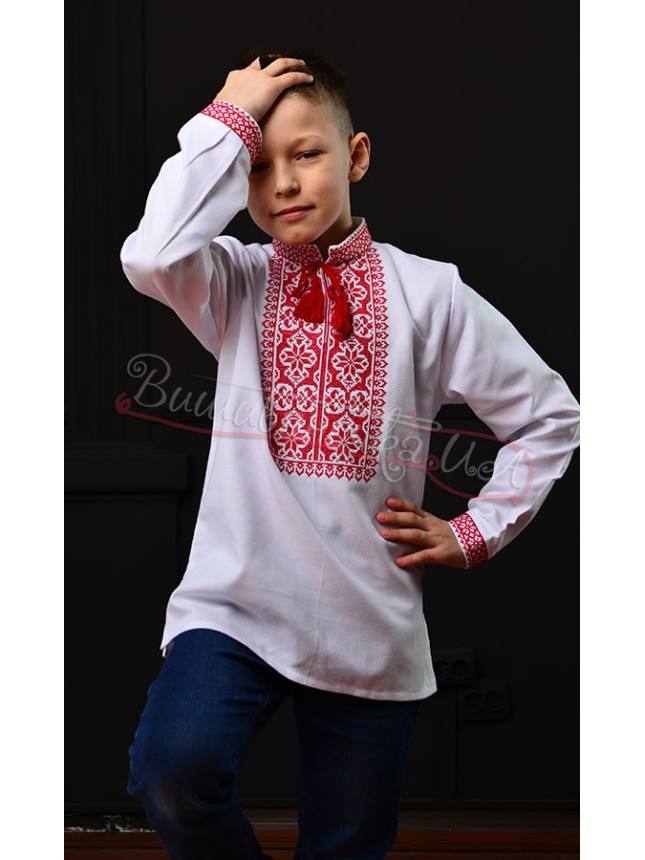 Bright vyshyvanka for a boy 744-2