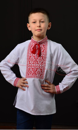 Bright vyshyvanka for a boy 744-2