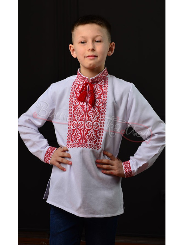 Bright vyshyvanka for a boy 744-2