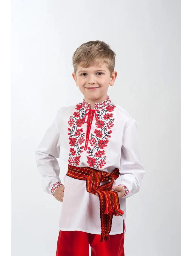 Embroidered shirt for a boy 0182