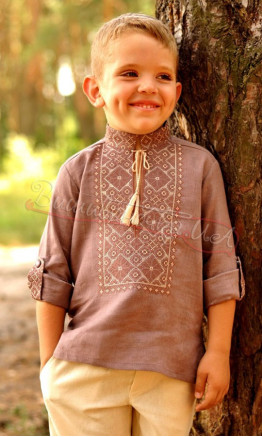 Children's vyshyvanka for a boy ДМ07 colour Brown