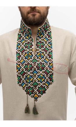 Embroidered men's shirt Ч 7504