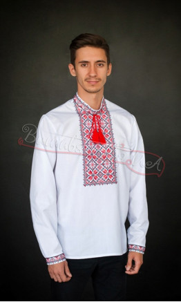 Embroidered men's shirt 4224
