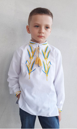 Embroidered shirt for a boy 712-6.1