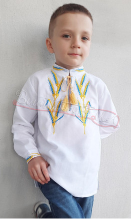 Embroidered shirt for a boy 712-6.1