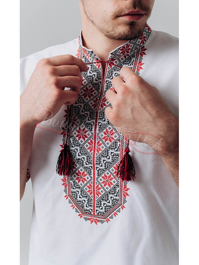 Men's vyshyvanka, short sleeves 316-2к