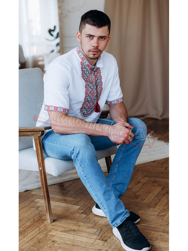 Men's vyshyvanka, short sleeves 316-2к