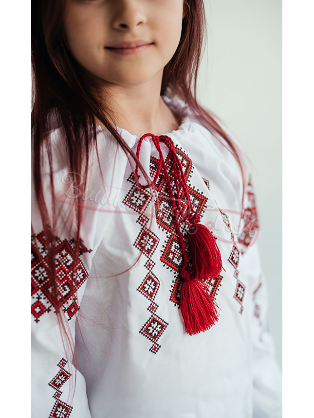 Shirt with embroidery for a girl 9016-2 size 110