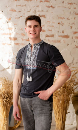 Men's T-shirt with embroidery 5211