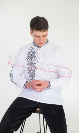 Embroidered men's shirt with a placket 3046-3