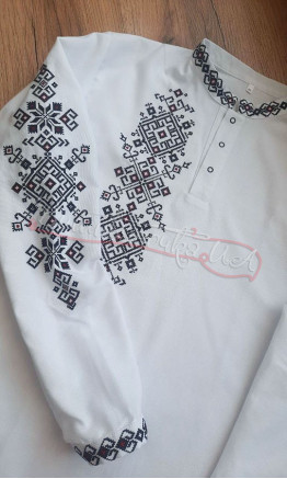 Embroidered men's shirt with a placket 3046-3