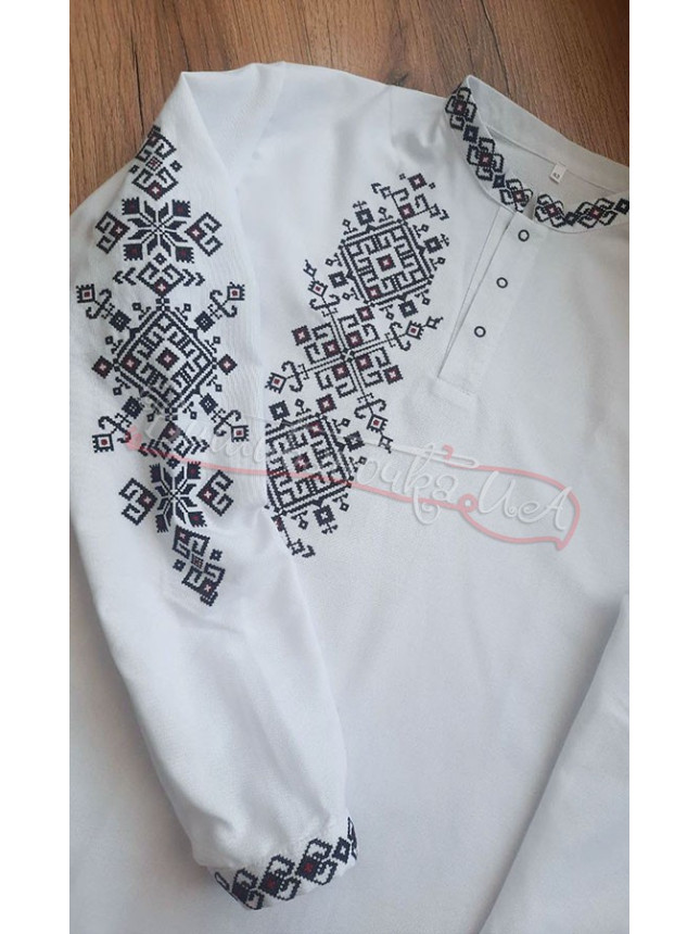 Embroidered men's shirt with a placket 3046-3