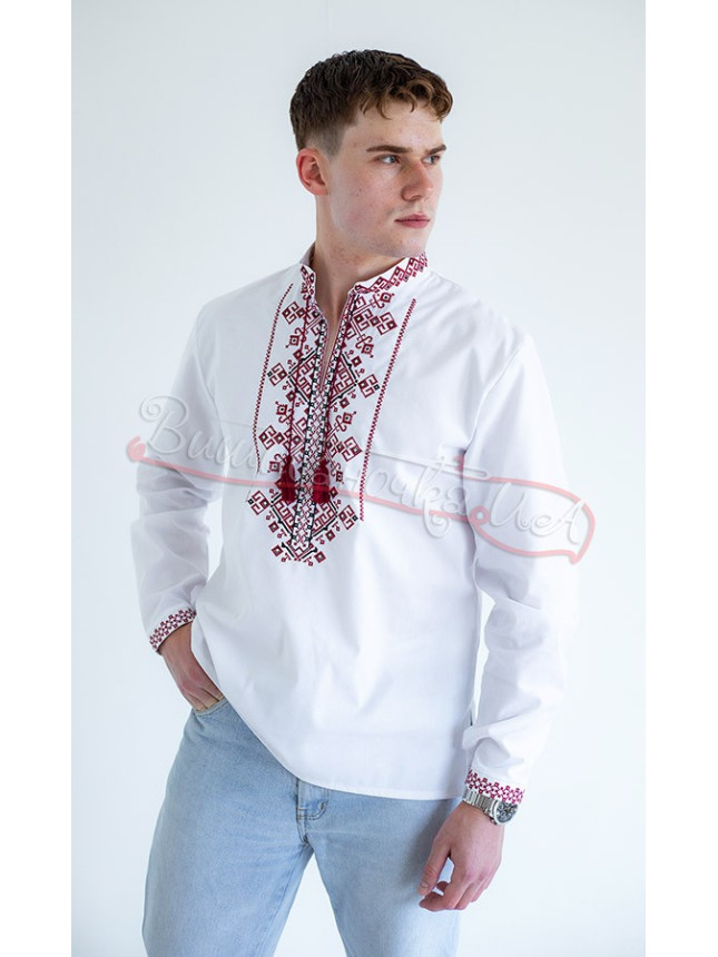 Men's vyshyvanka with long sleeves 3176-4