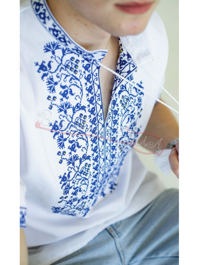 Men's vyshyvanka with blue pattern 317К-3С size 42