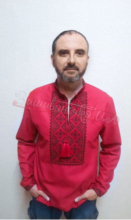 Bright men's vyshyvanka 319-12
