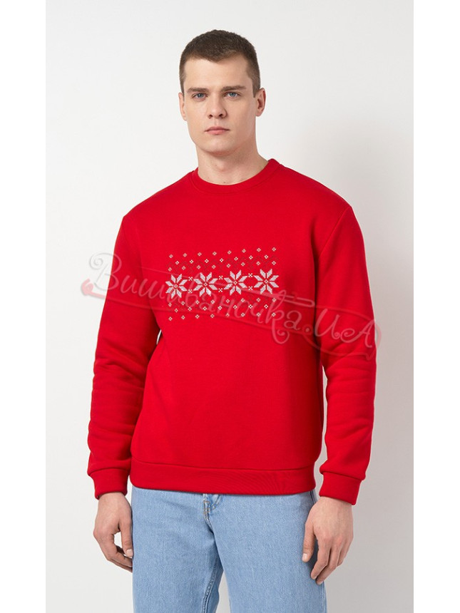 Men's sweatshirt with embroidery 0013