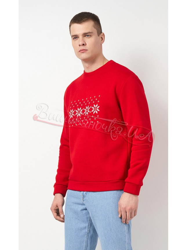 Men's sweatshirt with embroidery 0013