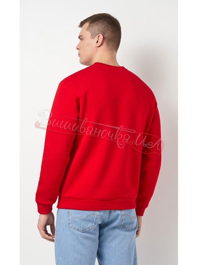 Men's sweatshirt with embroidery 0013