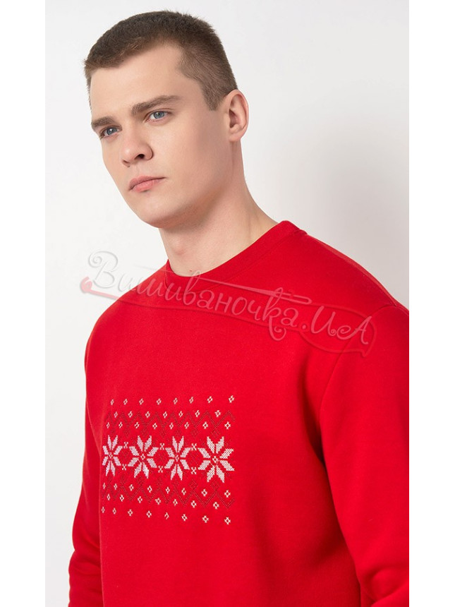 Men's sweatshirt with embroidery 0013