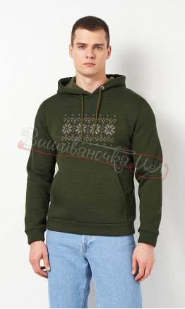 Hoodie with embroidery in khaki 0018