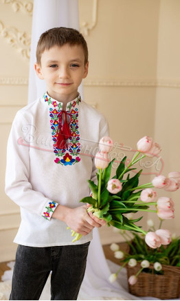 Вишиванка для хлопчика з барвистим узором 7280