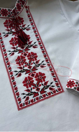 Men's shirt with embroidered ornament 3290