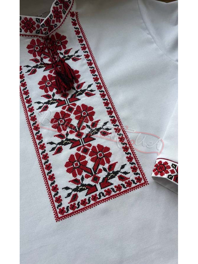 Men's shirt with embroidered ornament 3290