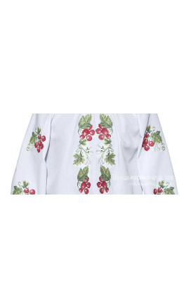 Children's blouse vyshyvanka БС004-007