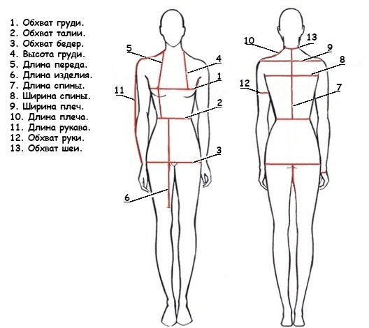 How to take women's measurements