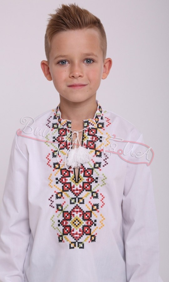 Embroidered shirts for boys at the Vyshyvanochka online store