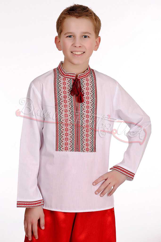 Детская вышиванка для мальчика, хлопок 0110 - фото 1 vishivano4ka.com.ua