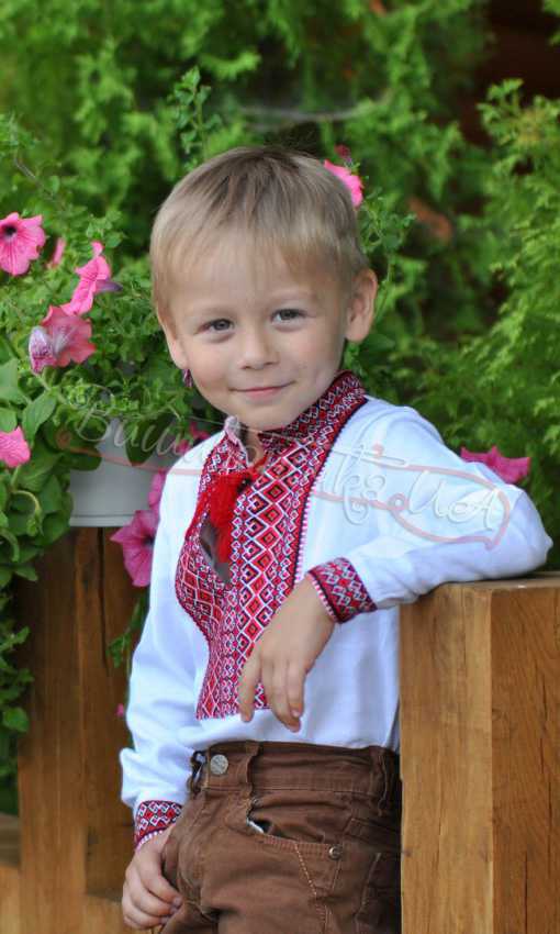 Вышиванка для мальчика 0113 - фото 3 vishivano4ka.com.ua