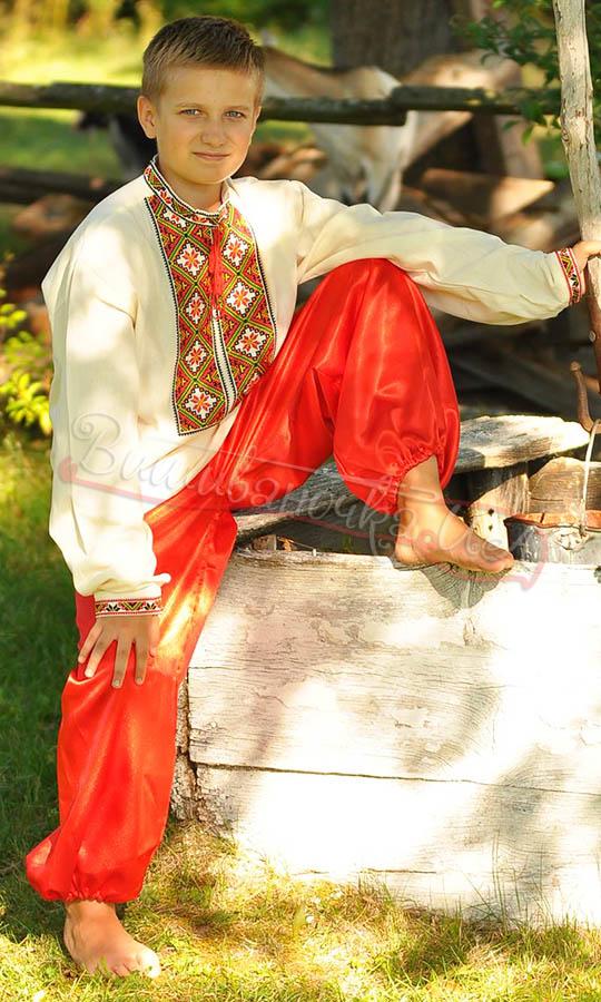 Гарна чоловіча вишиванка з бавовни 3816 - фото 3 vishivano4ka.com.ua