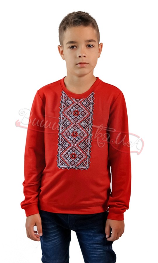 Кофта дитяча з вишивкою 6410 - фото 1 vishivano4ka.com.ua