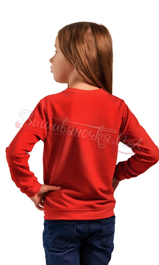 Кофта з яскравим вишитим орнаментом 6304 - фото 2 vishivano4ka.com.ua