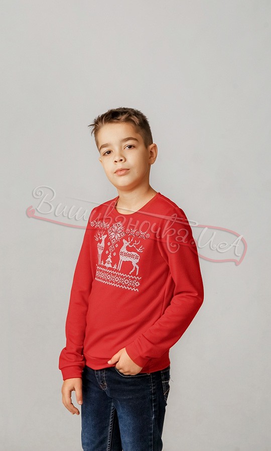 Світшот з вишивкою для хлопчика 6313 - фото 2 vishivano4ka.com.ua