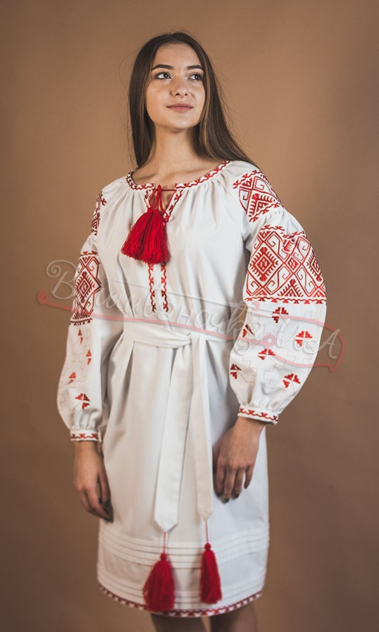 Жіноча сукня з яскравим орнаментом Ч 7331 - фото 2 vishivano4ka.com.ua